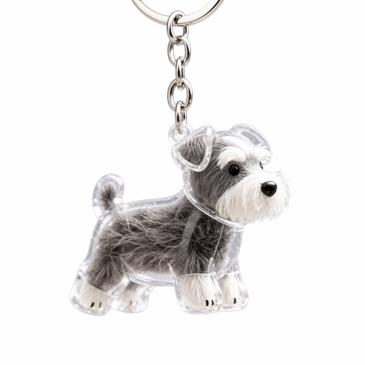 Pawmy™ Pet Hair Capsule Keychain