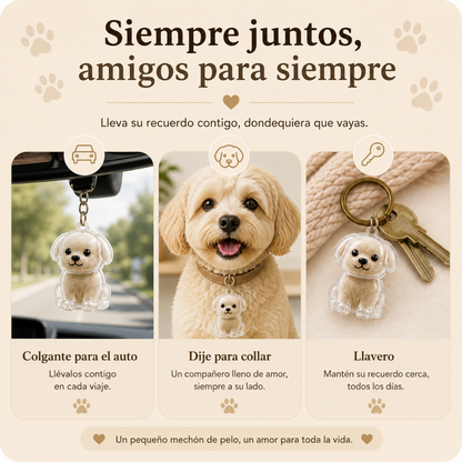 Pawmy™ Llavero Cápsula para Pelo de Mascota