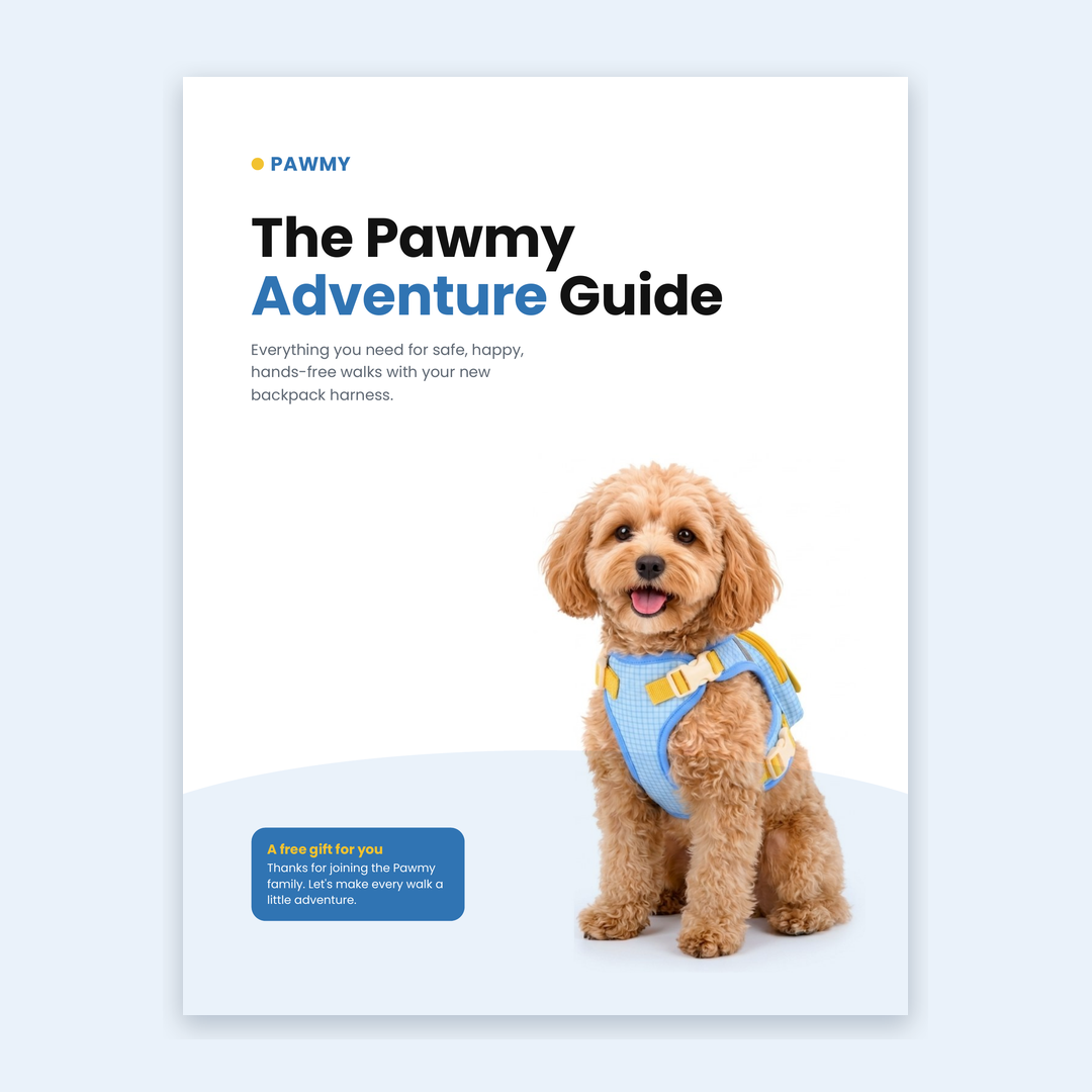 Pawmy Abenteuer-Guide (PDF)